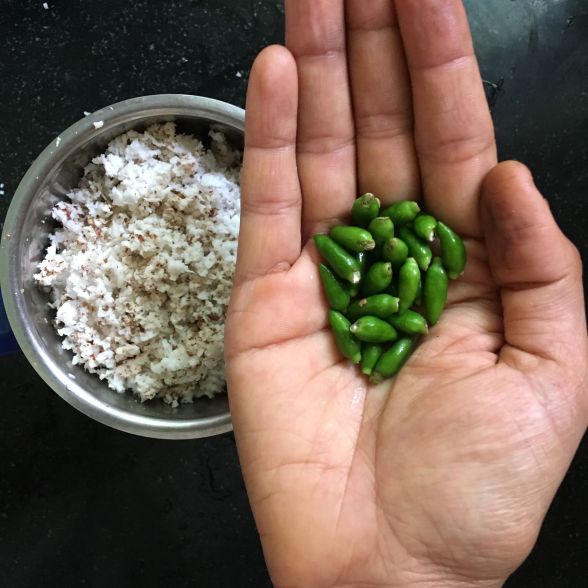 21368929_1932797710292839_9212150256860433774_o