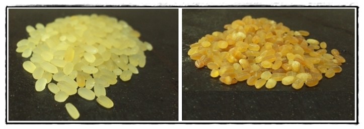 Parboiled rice before and after roasting