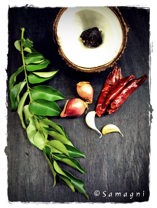 Roasted Coconut Chutney Ingredients
